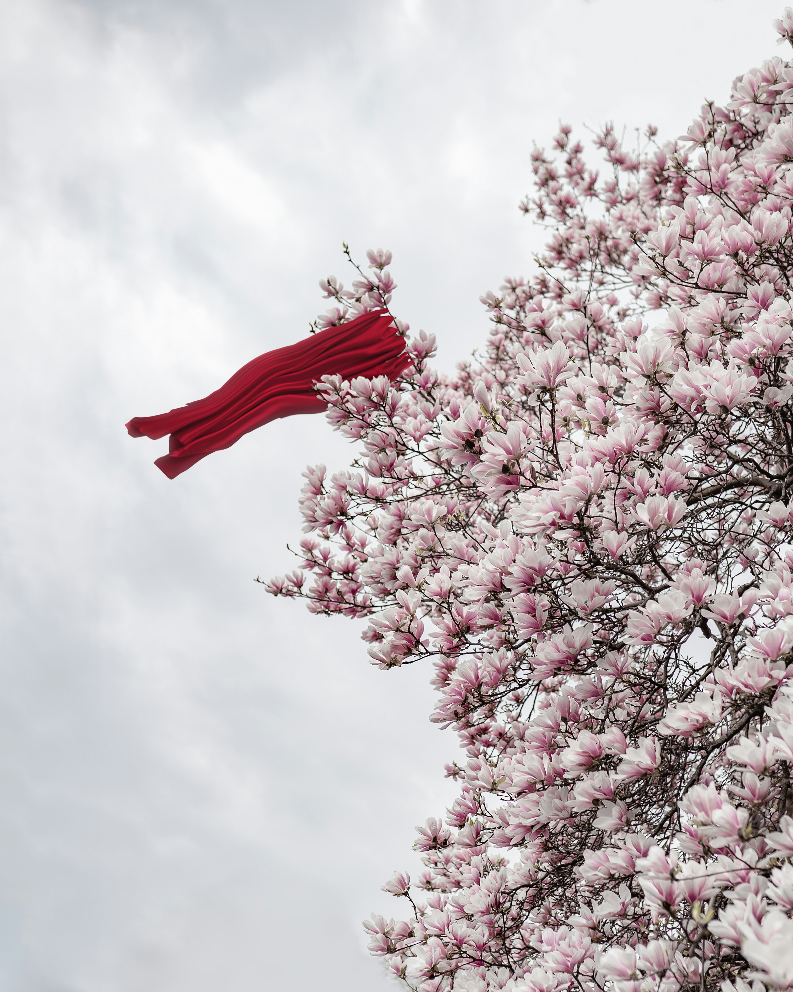 Red Flags